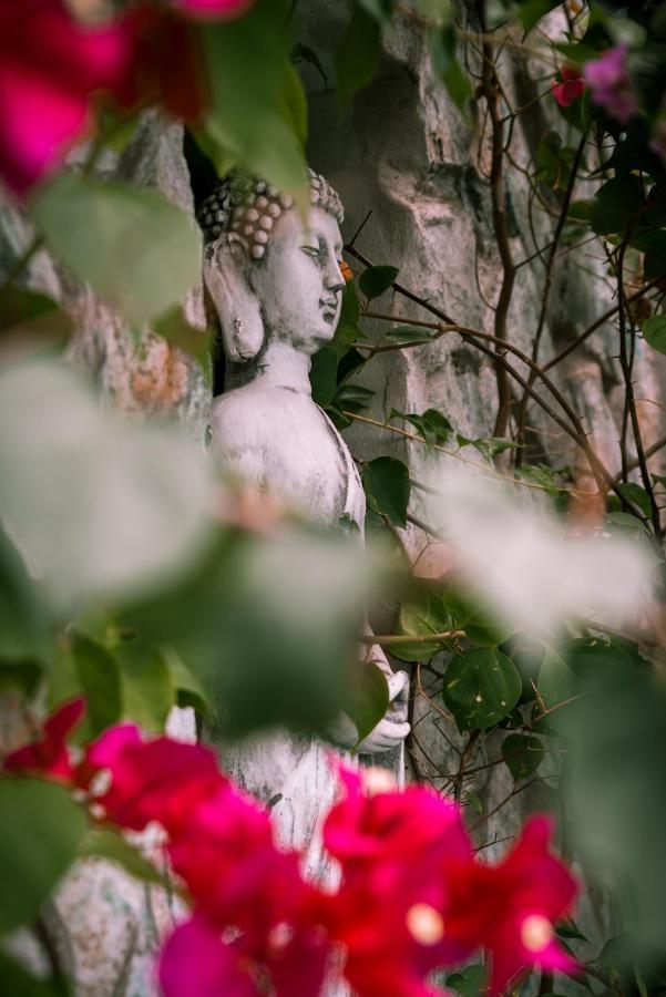 Zen Garden Tamarindo - Adults Only Hotel Ngoại thất bức ảnh
