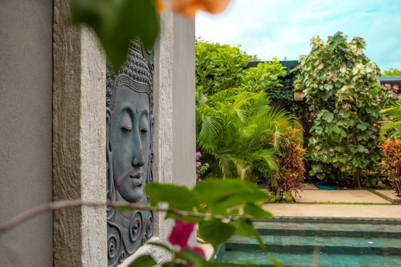 Zen Garden Tamarindo - Adults Only Hotel Ngoại thất bức ảnh